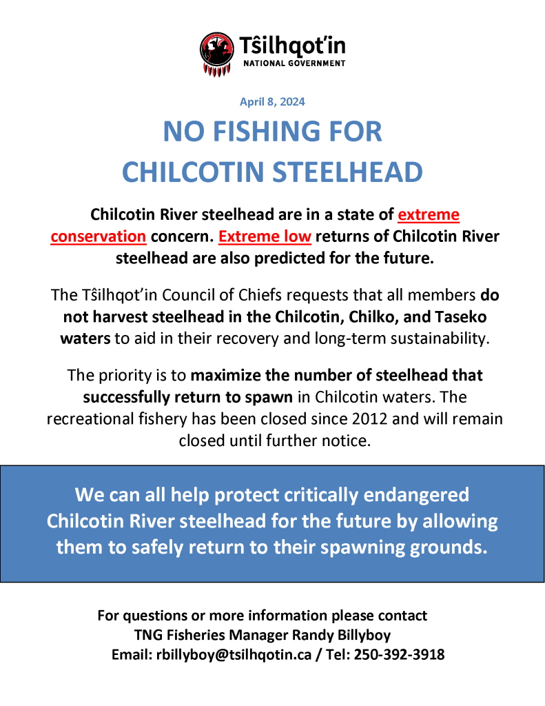 Reminder: No Fishing For Chilhcotin Steelehead.
Chilcotin River steelehead are in a state of extreme conservation concern. Extreme low returns of Chilcotin River steelehead are also predicted for the future.
See the full information bellow.